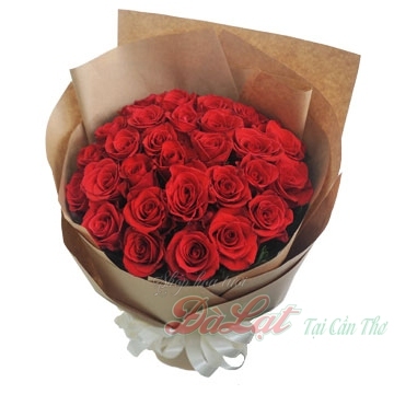 Hồng đỏ yêu thương