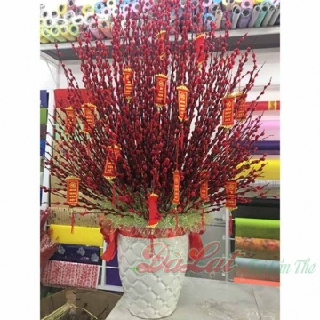 Đao chưng tết 05