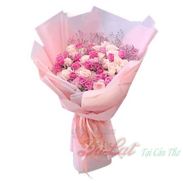 La Vie En Rose Cao Cấp