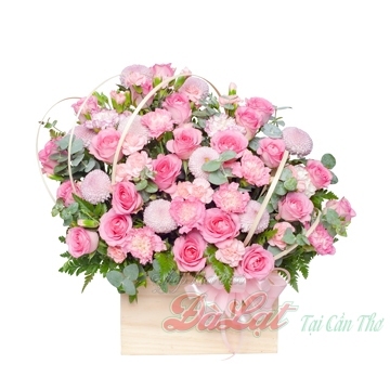 Sắc hồng xinh