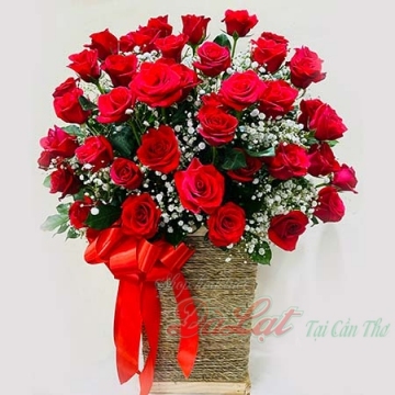Hồng đỏ yêu thương
