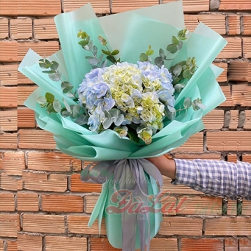 Bó cẩm tú cầu