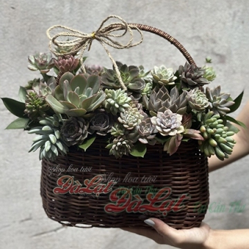 Tươi cười