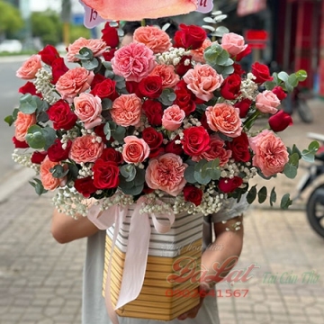 Khoe sắc