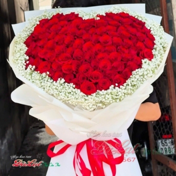 Trái Tim Đỏ