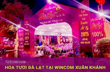 🌺 KHAI TRƯƠNG ĐIỂM BÁN HOA TẾT – SHOP HOA TƯƠI ĐÀ LẠT 🌺  Shop Hoa Cần Thơ - Wincom Xuân Khánh