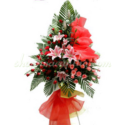 Shop hoa cần thơ