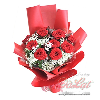 Hồng đỏ yêu thương