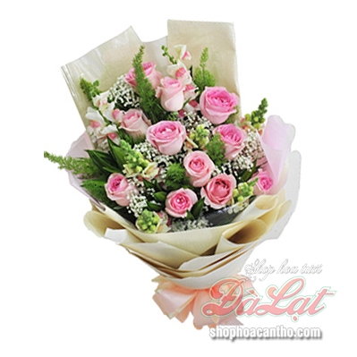 Hồng cho ngày mới