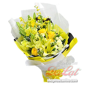 Nắng mới