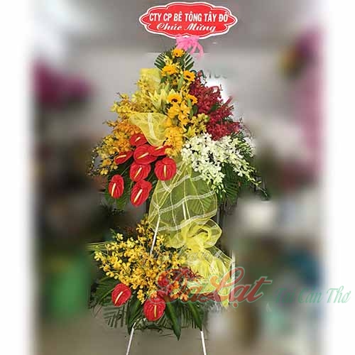 hoa khai truong 01