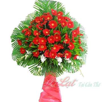 1213 dien hoa can tho