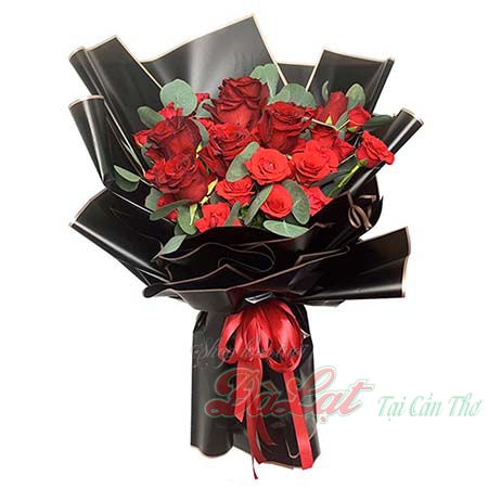 Ecuador Red Romance