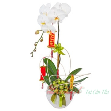 ho diep trang