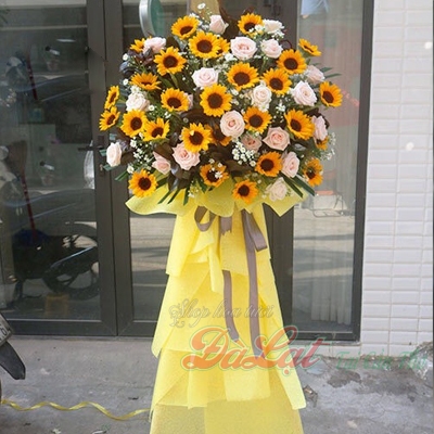ke huong duong 30