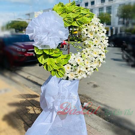 hoa chia buon thuong tiec 800