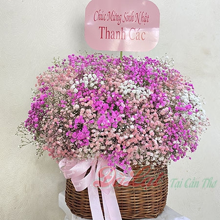baby tim trang 700