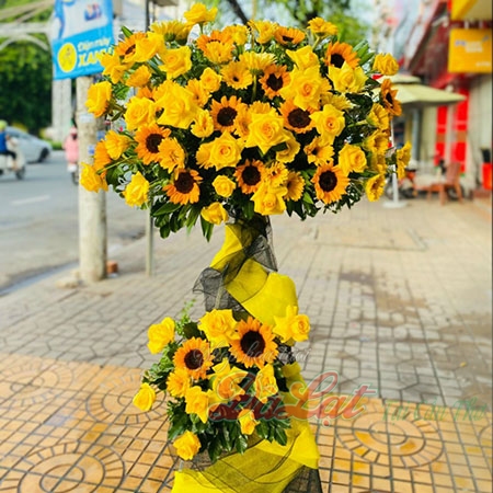 hoa khai truong huong duong 1tr3