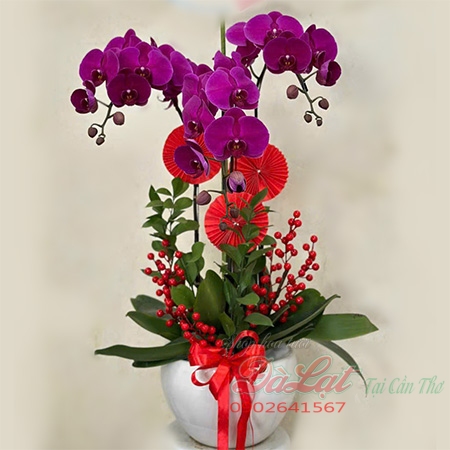 hoa ngày valentine