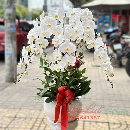 dien hoa can tho