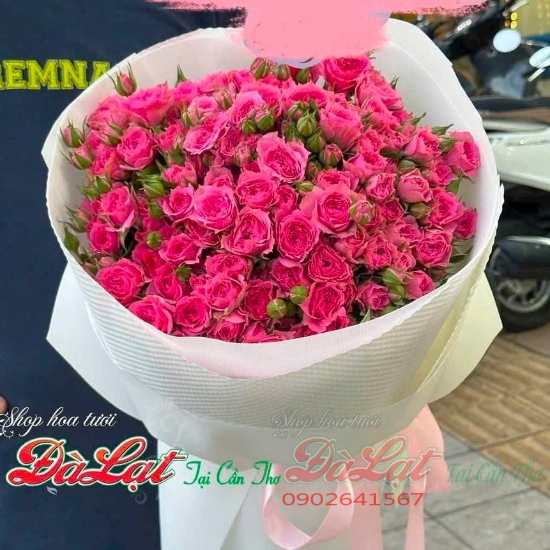 hong sen ruc ro