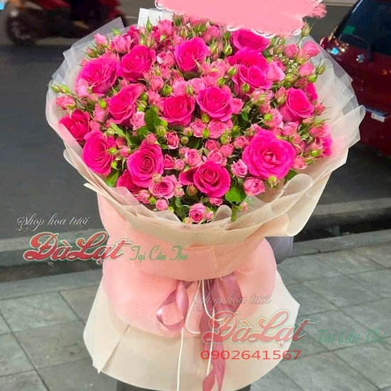 ngot ngao hong sen