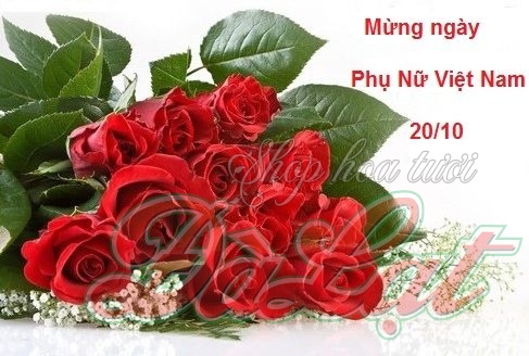 hoa ngày 20-10
